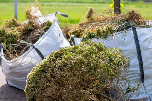 Full-Service Junk Removal in White Hall, IL